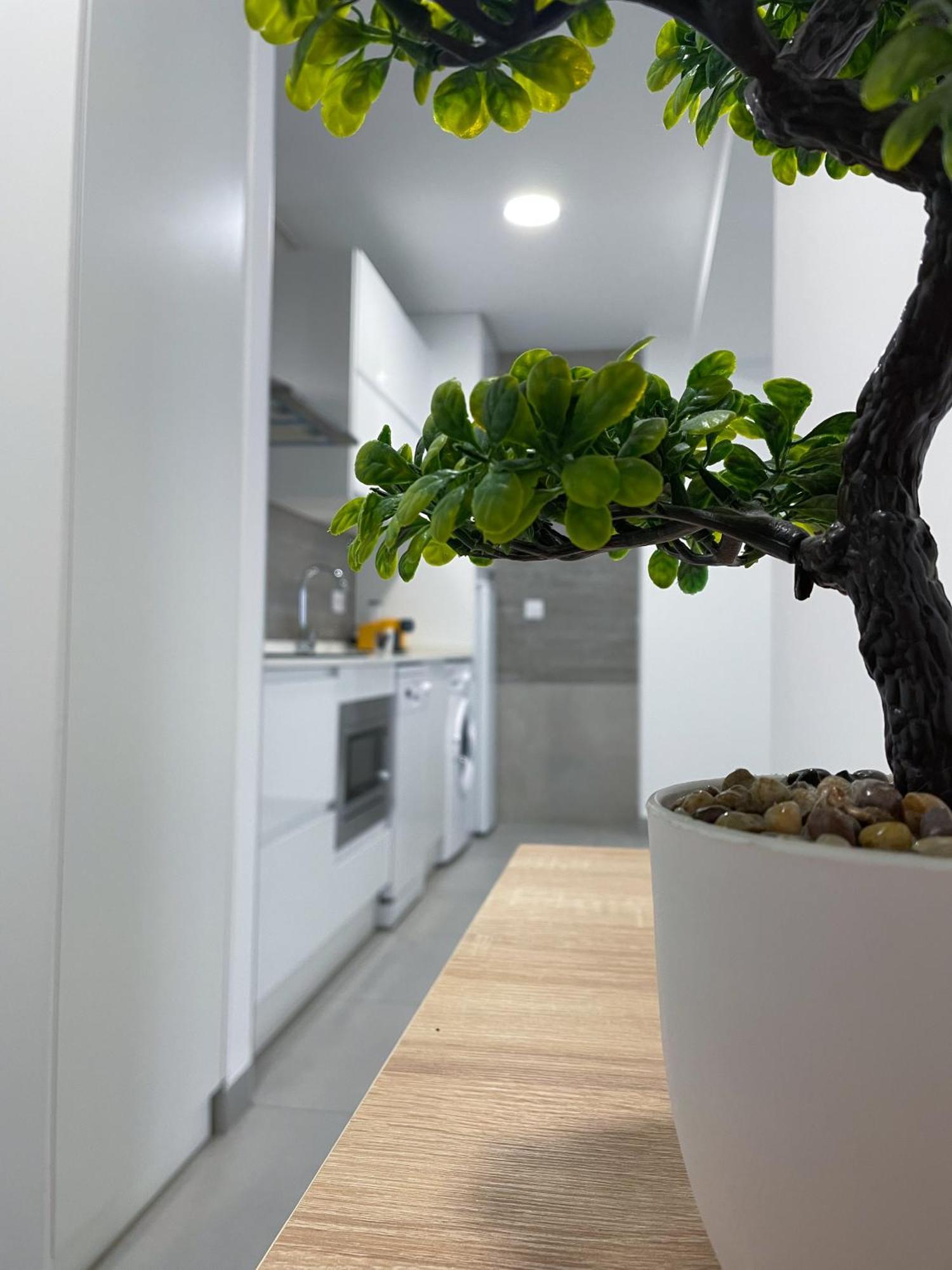 Apartamentos Lusitania Parking Gratis Bajo Disponibilidad Mérida Eksteriør bilde